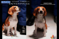 1/6 Scale Captain Jonathan Archer (Star Trek: Enterprise)