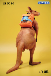 1/6 Scale Kangaroo