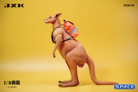 1/6 Scale Kangaroo