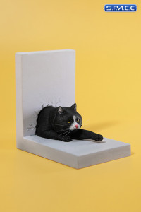 1/6 Scale Cat through the Wall (black)