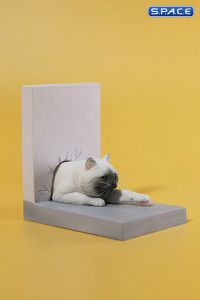 1/6 Scale Cat through the Wall (white)