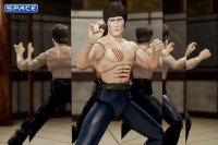 Ultimate Bruce Lee - The Fighter Version (Bruce Lee)