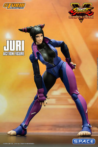 1/12 Scale Juri Han (Street Fighter V)