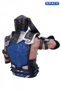 Sub-Zero Bust (Mortal Kombat 11)