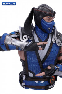 Sub-Zero Bust (Mortal Kombat 11)