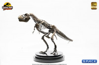 1/24 Scale T-Rex Skeleton Bronze Statue (Jurassic Park)