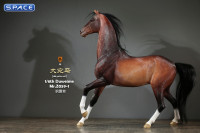 1/6 Scale Duweime Horse (brown)