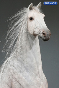 1/6 Scale Duweime Horse (grey)