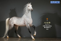 1/6 Scale Duweime Horse (grey)