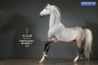 1/6 Scale Duweime Horse (grey)