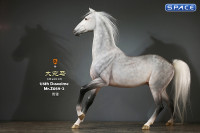 1/6 Scale Duweime Horse (grey)