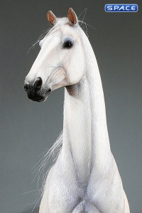 1/6 Scale Duweime Horse (white)