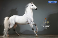 1/6 Scale Duweime Horse (white)