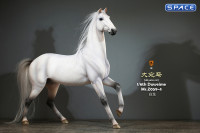 1/6 Scale Duweime Horse (white)