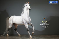 1/6 Scale Duweime Horse (white)