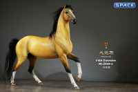 1/6 Scale Duweime Horse (buckskin)