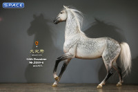 1/6 Scale Duweime Horse (grey/white)