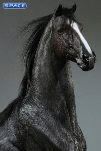 1/6 Scale Duweime Horse (black)
