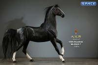 1/6 Scale Duweime Horse (black)