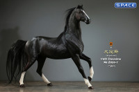 1/6 Scale Duweime Horse (black)