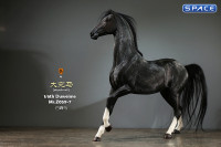 1/6 Scale Duweime Horse (black)