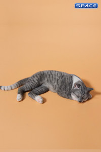 1/6 Scale resting Cat (grey)