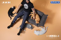 1/6 Scale resting Cat (grey)