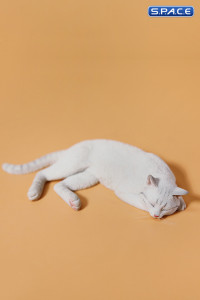 1/6 Scale resting Cat (white)