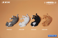 1/6 Scale resting Cat (white)