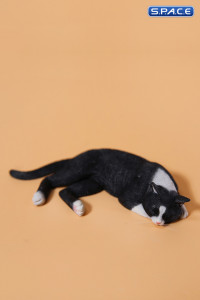 1/6 Scale resting Cat (black)