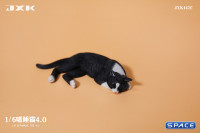1/6 Scale resting Cat (black)