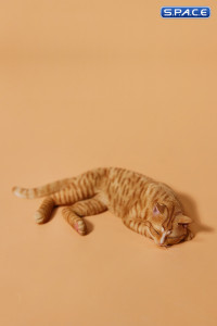 1/6 Scale resting Cat (red)