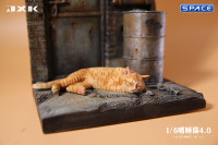 1/6 Scale resting Cat (red)