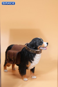 1/6 Scale Bernese Mountain Dog