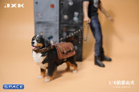 1/6 Scale Bernese Mountain Dog