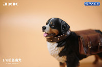 1/6 Scale Bernese Mountain Dog