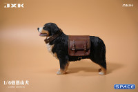 1/6 Scale Bernese Mountain Dog