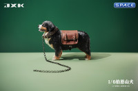 1/6 Scale Bernese Mountain Dog