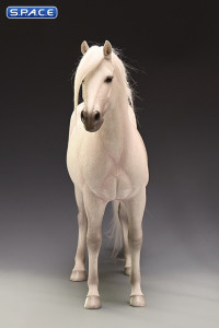 1/6 Scale Dutch Warmblood Horse (white)