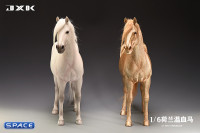 1/6 Scale Dutch Warmblood Horse (white)