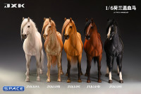 1/6 Scale Dutch Warmblood Horse (white)