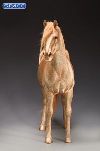 1/6 Scale Dutch Warmblood Horse (golden)