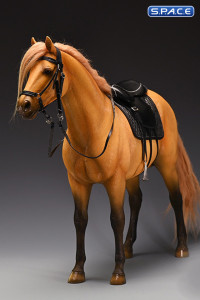 1/6 Scale Dutch Warmblood Horse (buckskin)