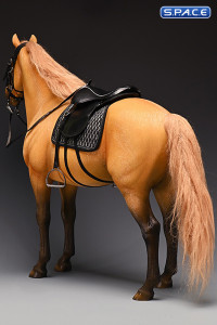 1/6 Scale Dutch Warmblood Horse (buckskin)