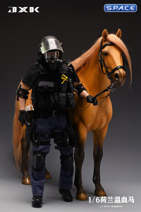 1/6 Scale Dutch Warmblood Horse (buckskin)