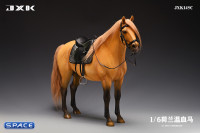 1/6 Scale Dutch Warmblood Horse (buckskin)