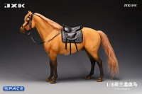 1/6 Scale Dutch Warmblood Horse (buckskin)