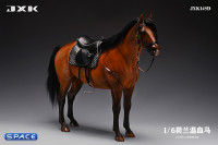 1/6 Scale Dutch Warmblood Horse (brown)