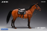 1/6 Scale Dutch Warmblood Horse (brown)