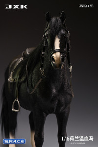1/6 Scale Dutch Warmblood Horse (black)